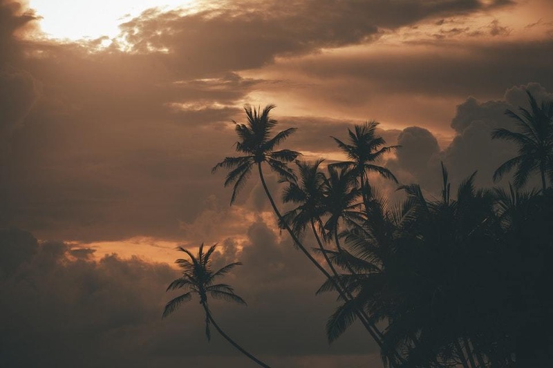 LANDSCAPES